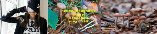 меф Магас