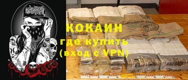 прущие грибы Майский