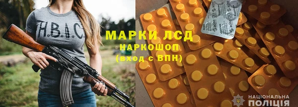 прущие грибы Майский
