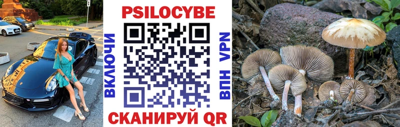 Галлюциногенные грибы Psilocybe  Купить  Бутурлиновка 